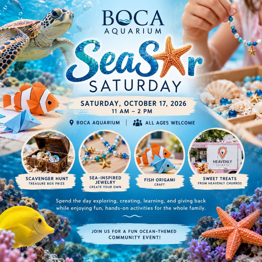 Seastar Saturday