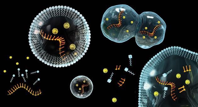How did life start in our oceans?