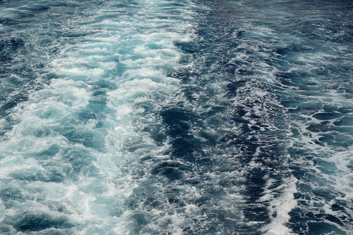 Ocean Myths Everyone Still Believes