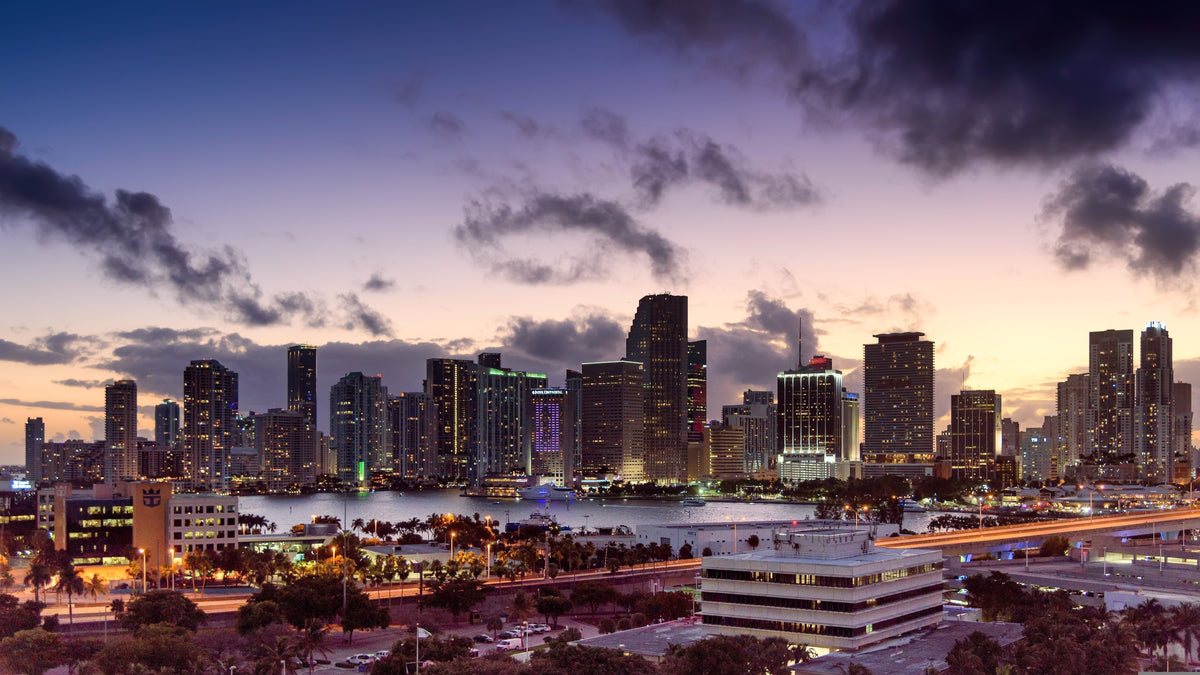 Family-Friendly Excursions in South Florida