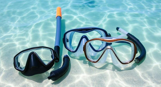 Spring Break in Boca Raton: Sun, Sea Life, and Local Adventures