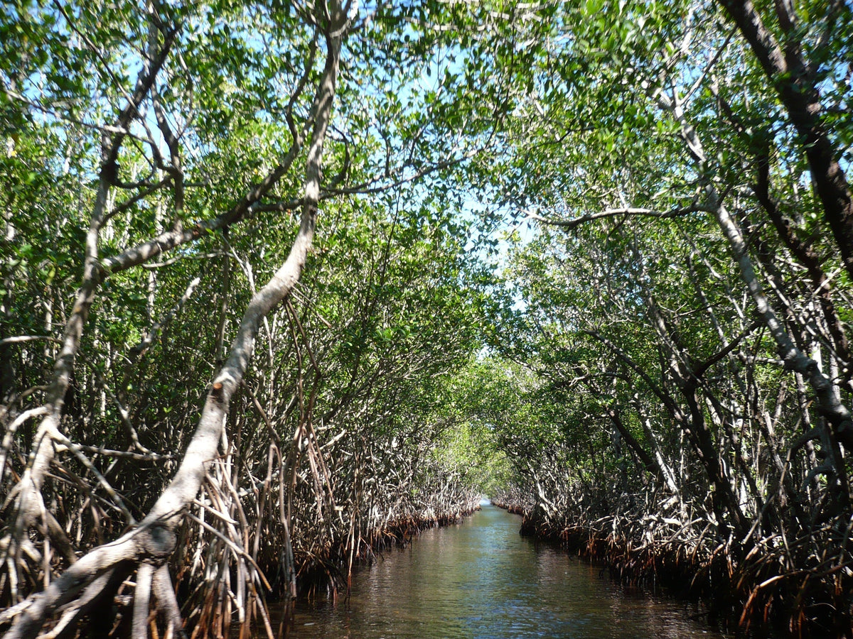 Nature Adventures in Palm Beach County