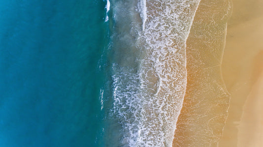The Biggest Causes of Marine Pollution and Climate Change — And How We Can Help Fix Them