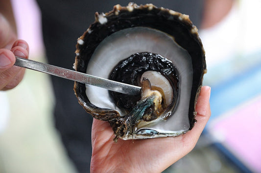 The Beauty of the Tahitian Pearl